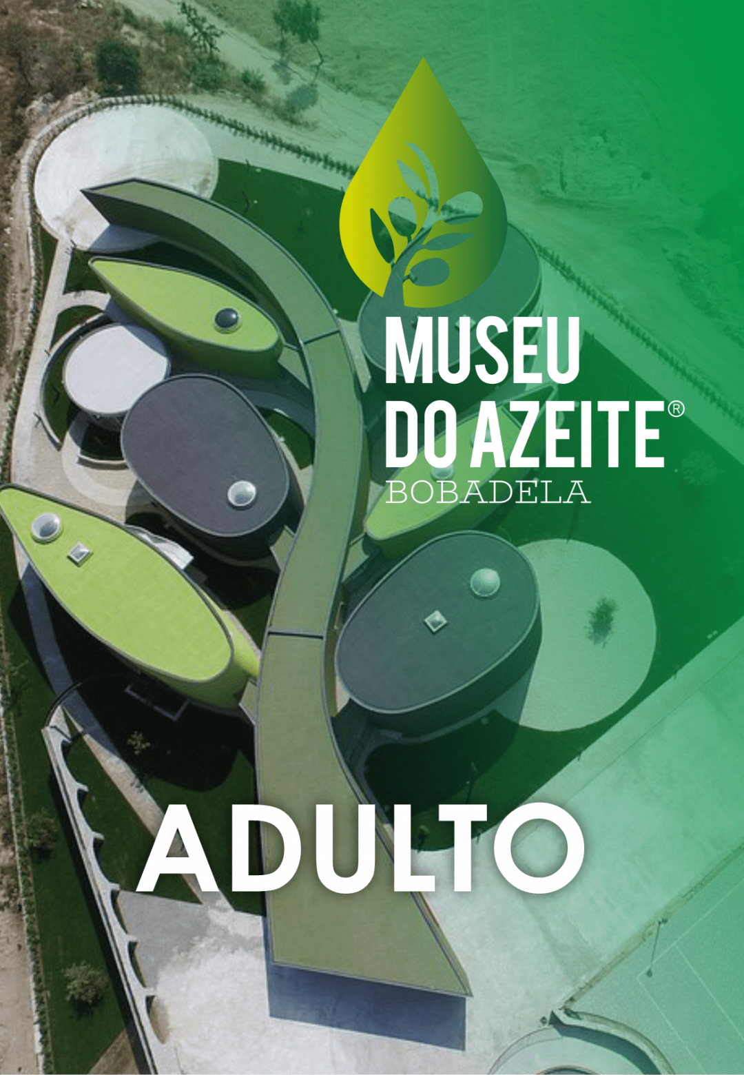 Visita ao Museu do Azeite - Bobadela